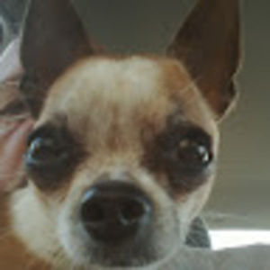 Meet your Posher, Randy